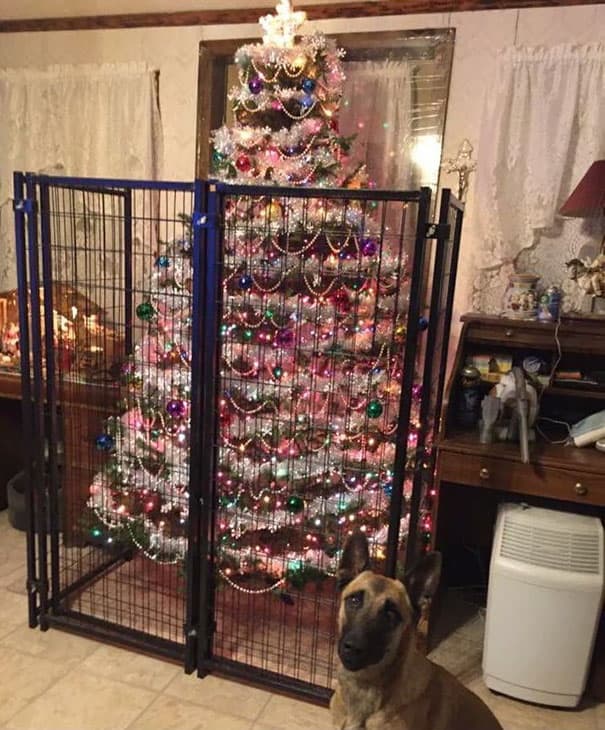 14 Ways You Can Protect Your Christmas Trees From Mean Cats