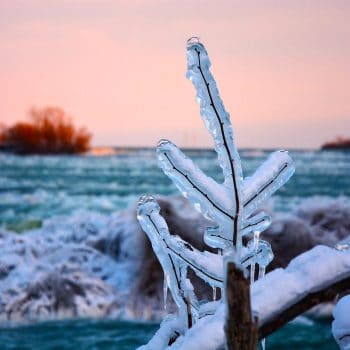 Extreme Cold Transforms Niagara Falls Into a Frozen Winter Wonderland