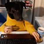 Dog with Human Hands Eating Breakfast