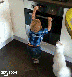 Cat-prevents-human-kitten-from-getting-into-trouble-in-the-kitchen.gif